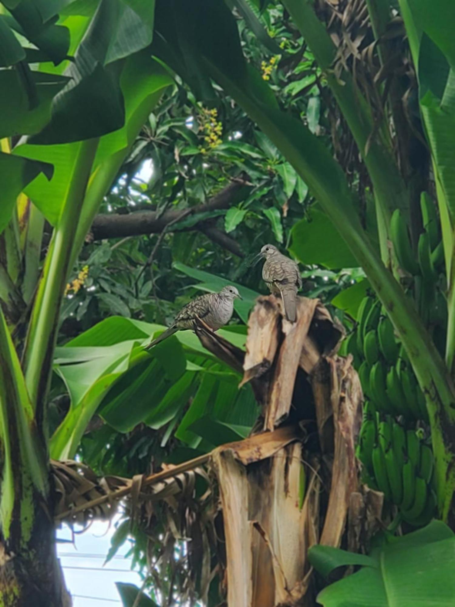 Casa Esmeralda Moyogalpa Bagian luar foto